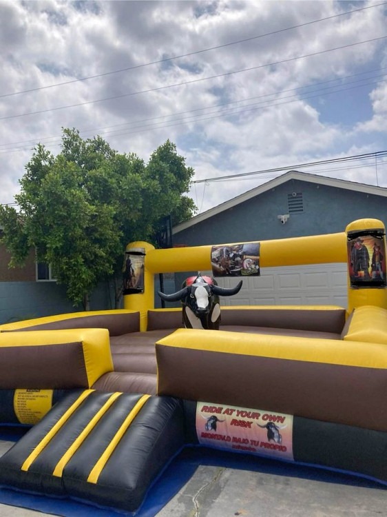 Mechanical Bull